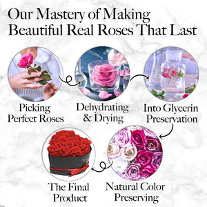 16-Piece Forever Flowers Heart Shape Box - Preserved Roses, Immortal Roses That Last a Year - Eternal Rose Preserved Flowers for Wife, Mothers Day & Valentines Day Gift for Her - Red